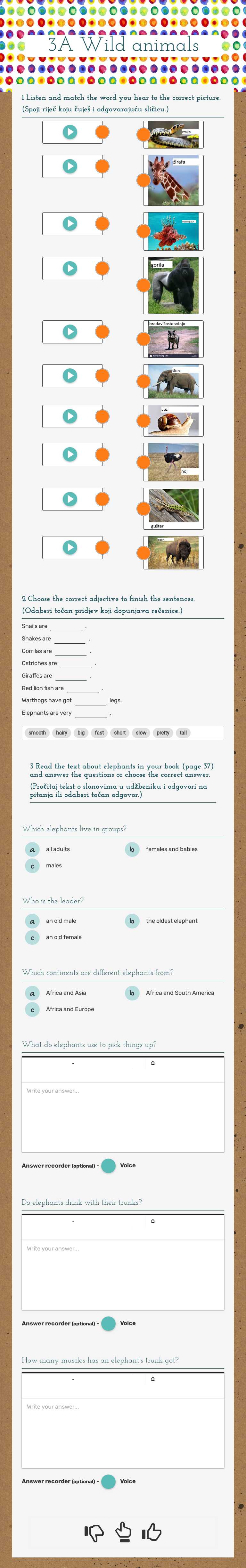 3A Wild animals Grade 5 worksheet preview