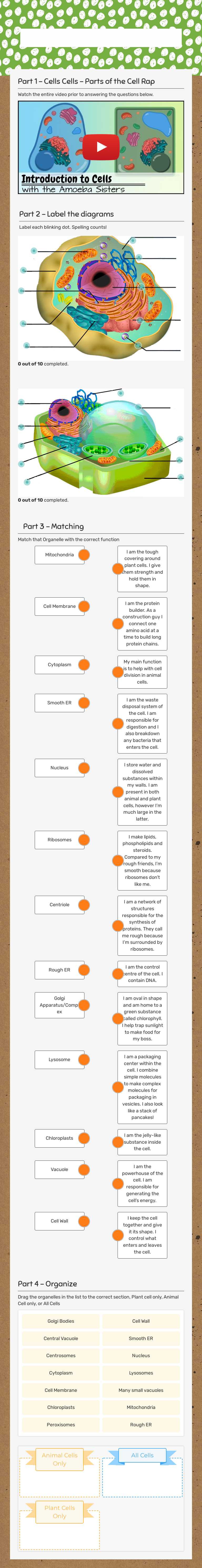 organelles Review Day 1 worksheet preview image