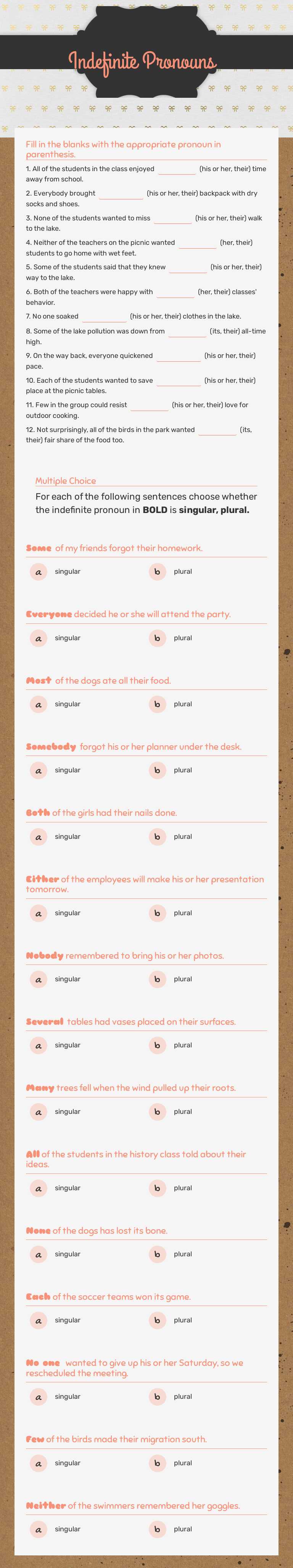 Indefinite Pronouns worksheet preview image
