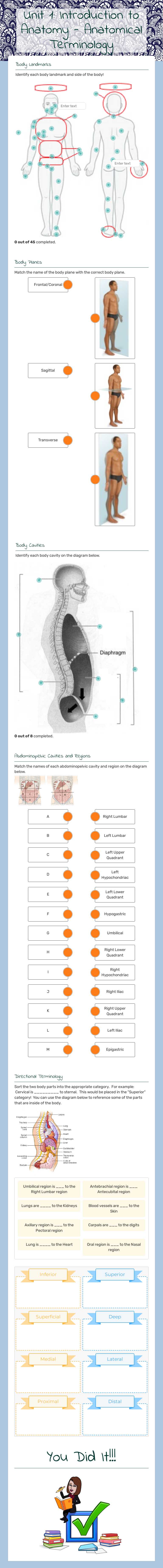 Unit 1:  Introduction to Anatomy - Anatomical Terminology worksheet preview image