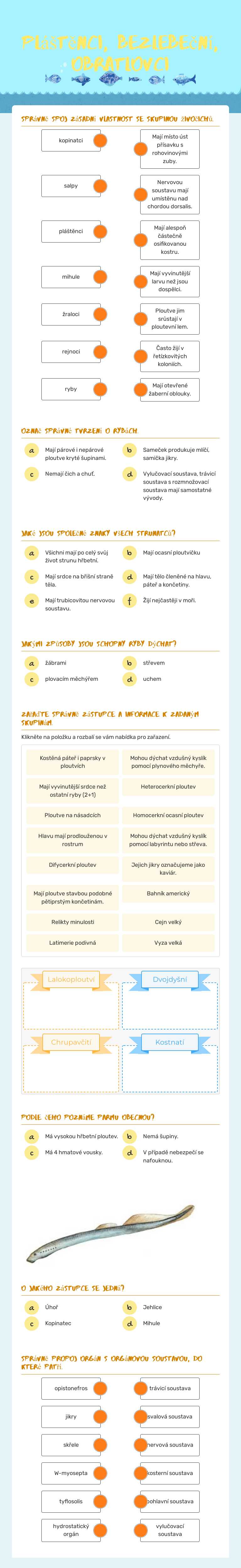 Pláštěnci, bezlebeční, obratlovci worksheet preview image