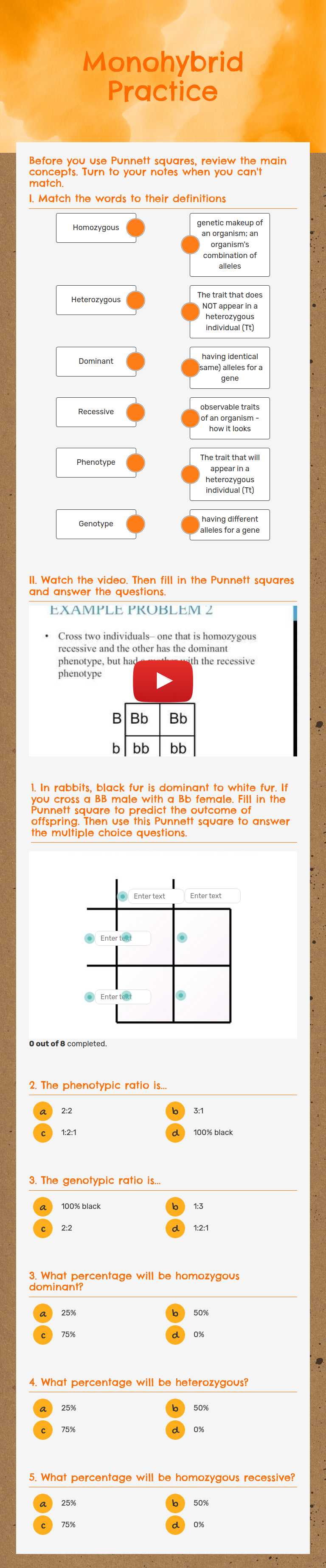 Monohybrid Practice Grade 11 worksheet preview