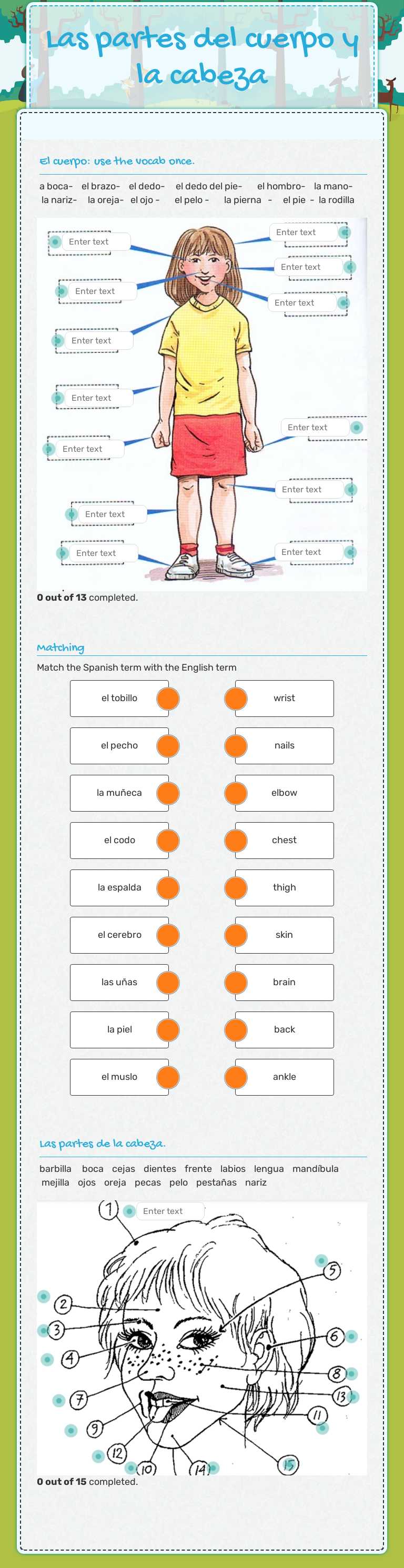 Las partes del cuerpo y la cabeza Grade 7 worksheet preview