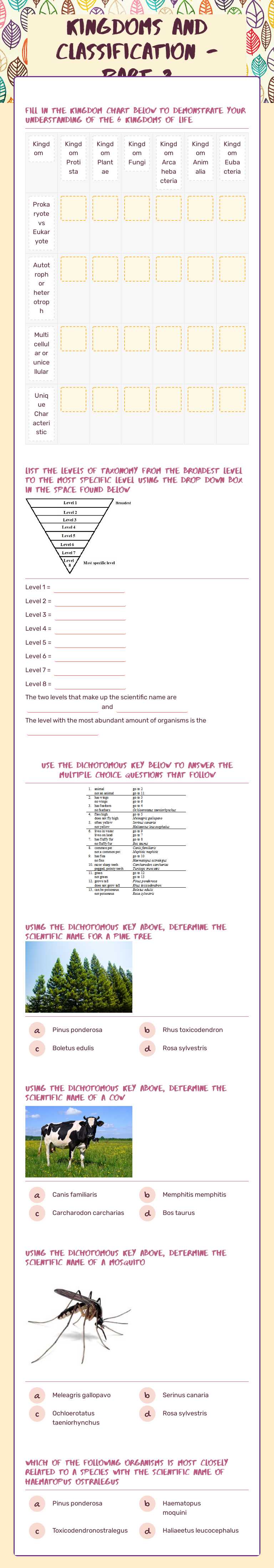Kingdoms and Classification - Part 2 Grade 7 worksheet preview