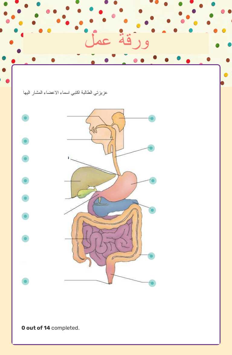 ورقة عمل Grade 9 worksheet preview
