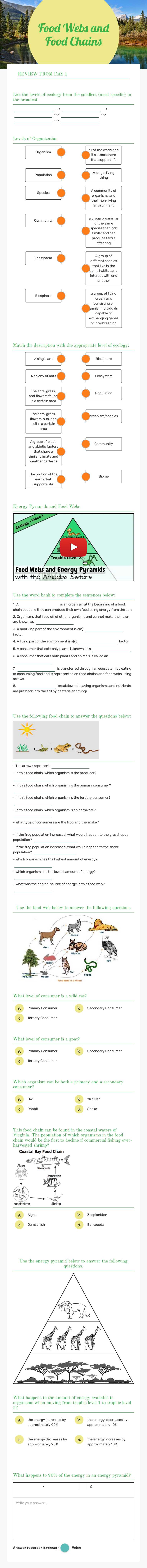 Food Webs and Food Chains worksheet preview image