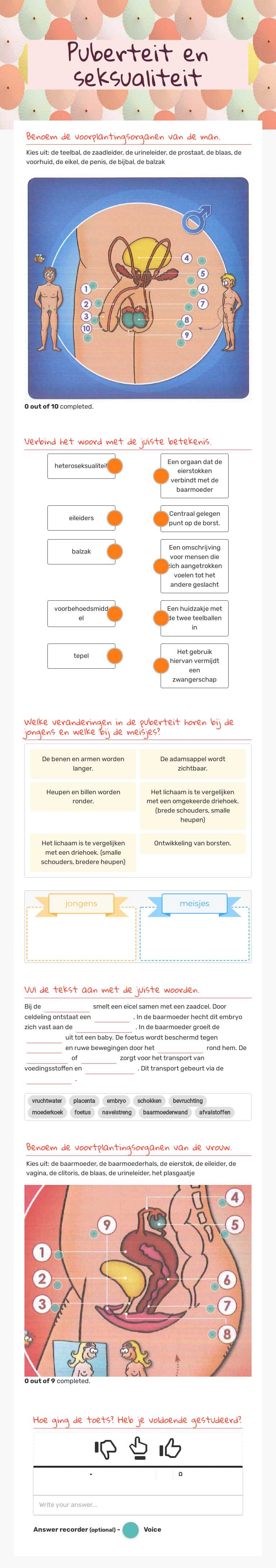 Puberteit en seksualiteit worksheet preview image