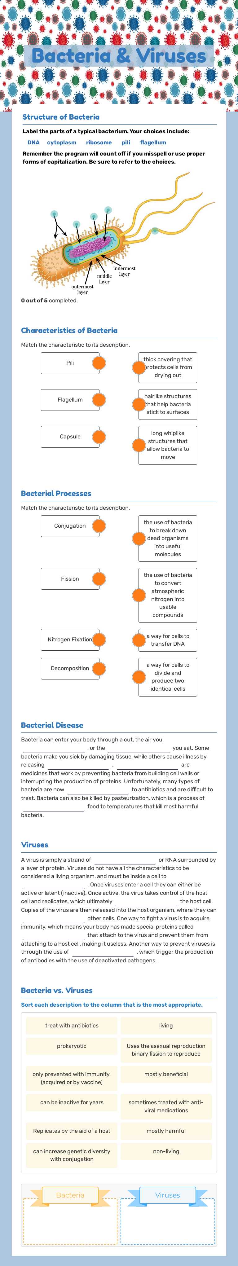 Bacteria & Viruses worksheet preview image