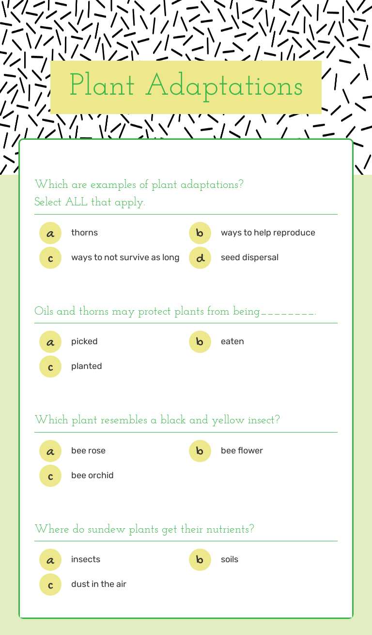 Plant Adaptations worksheet preview image