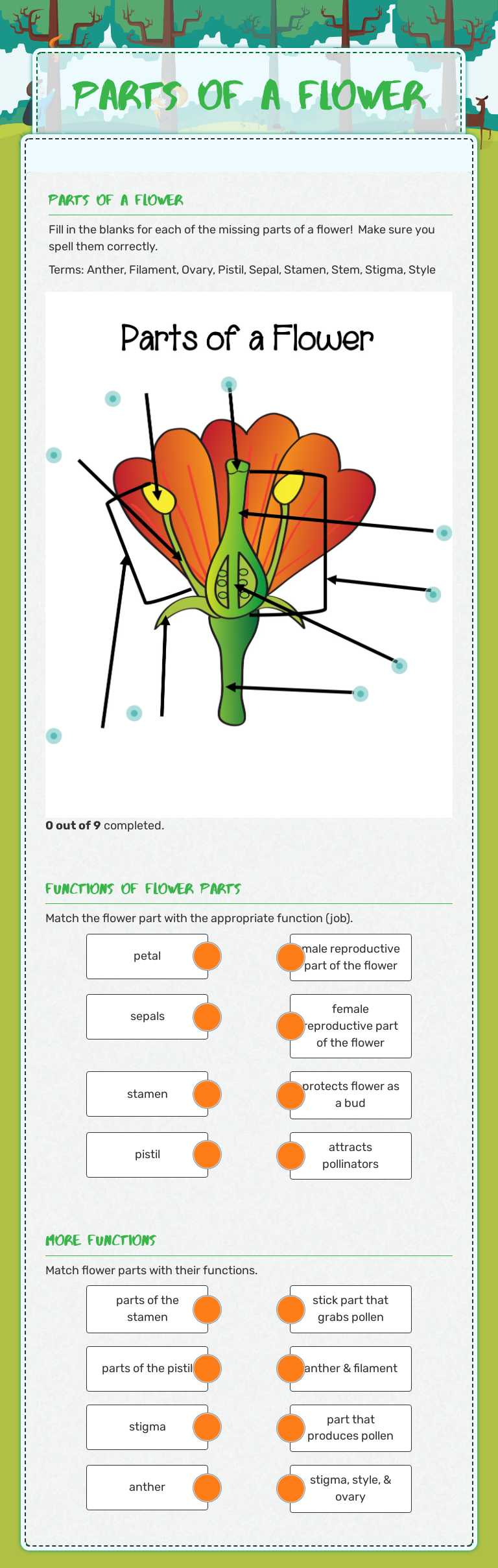 Parts of a flower Grade 4 worksheet preview
