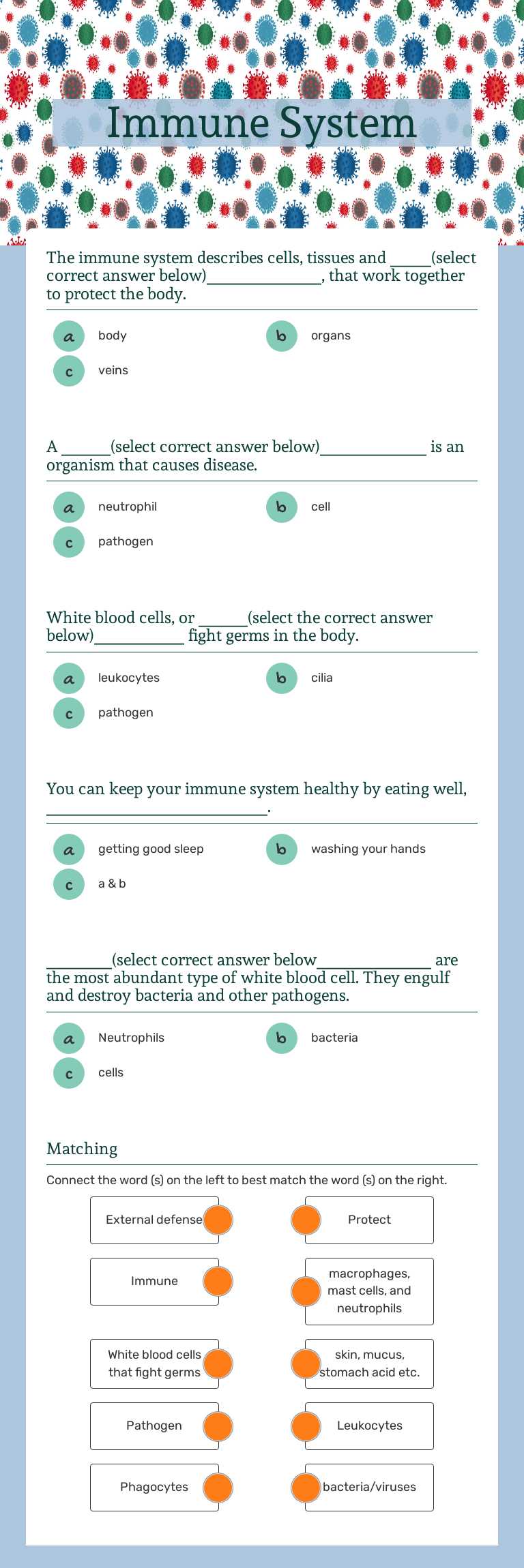 Immune System worksheet preview image