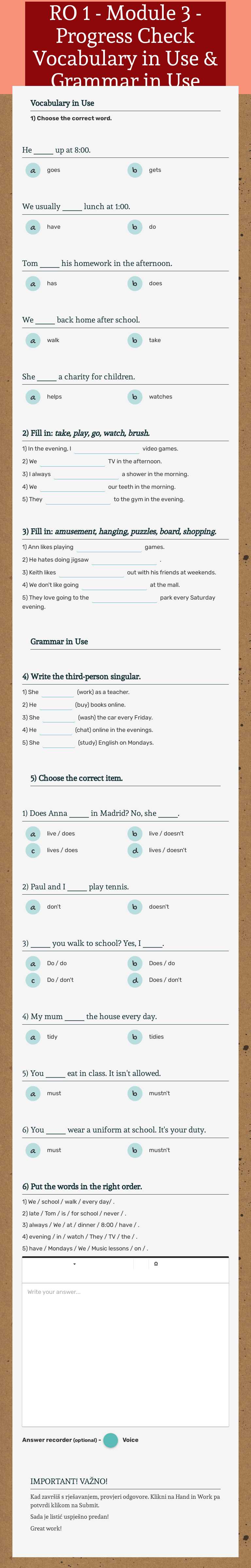 RO 1 - Module 3 - Progress Check Vocabulary in Use & Grammar in Use worksheet preview image