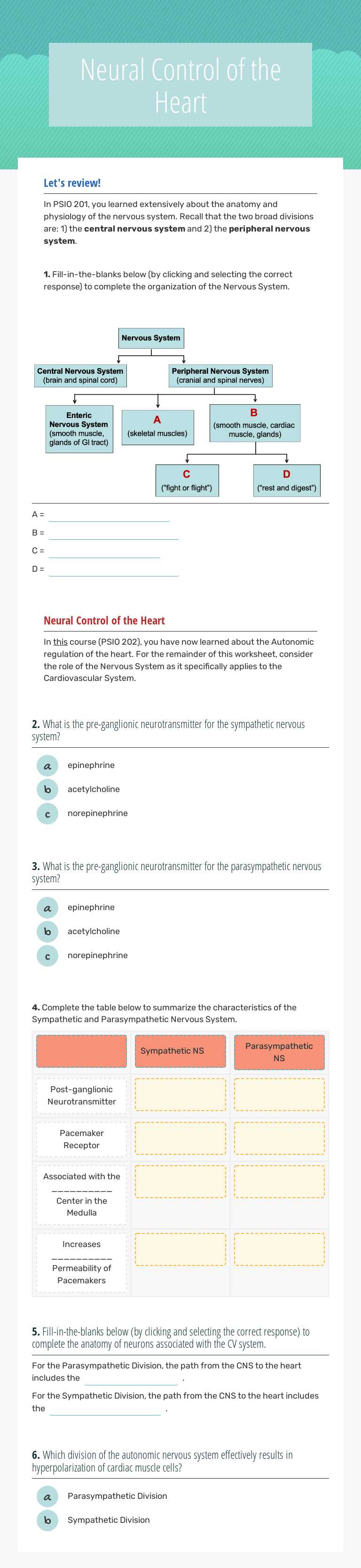 Neural Control of the Heart Other worksheet preview
