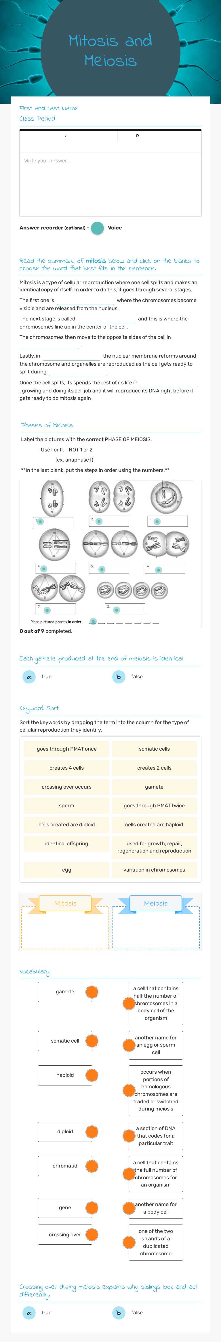 Mitosis and Meiosis worksheet preview image
