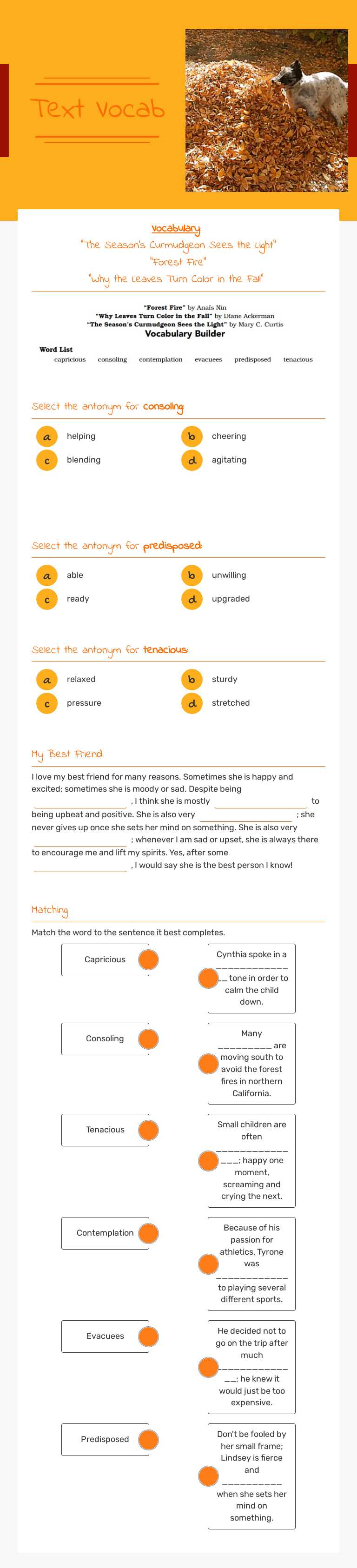 Text Vocab worksheet preview image