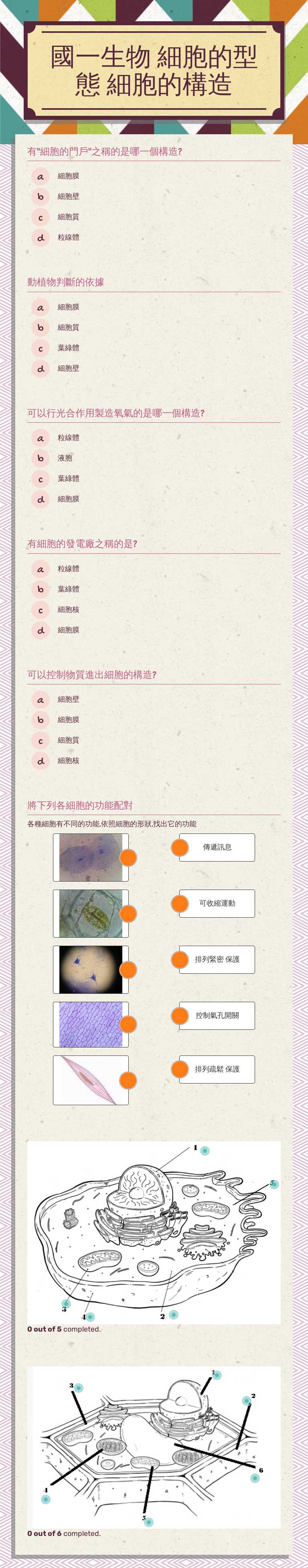 國一生物 
細胞的型態
細胞的構造 worksheet preview image