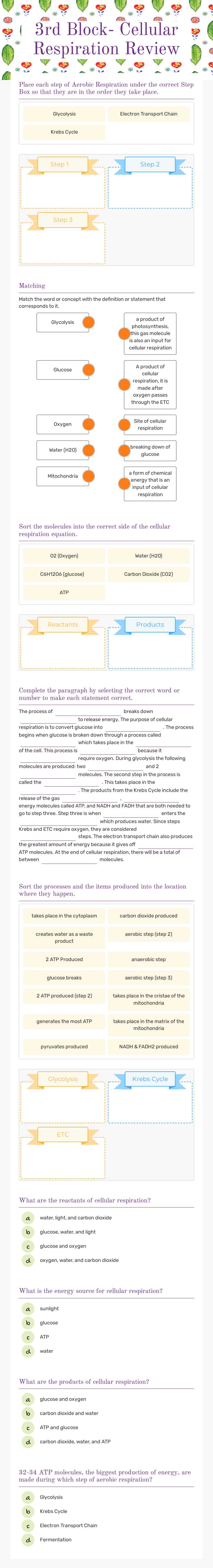 3rd Block- Cellular Respiration Review Grade 10 worksheet preview