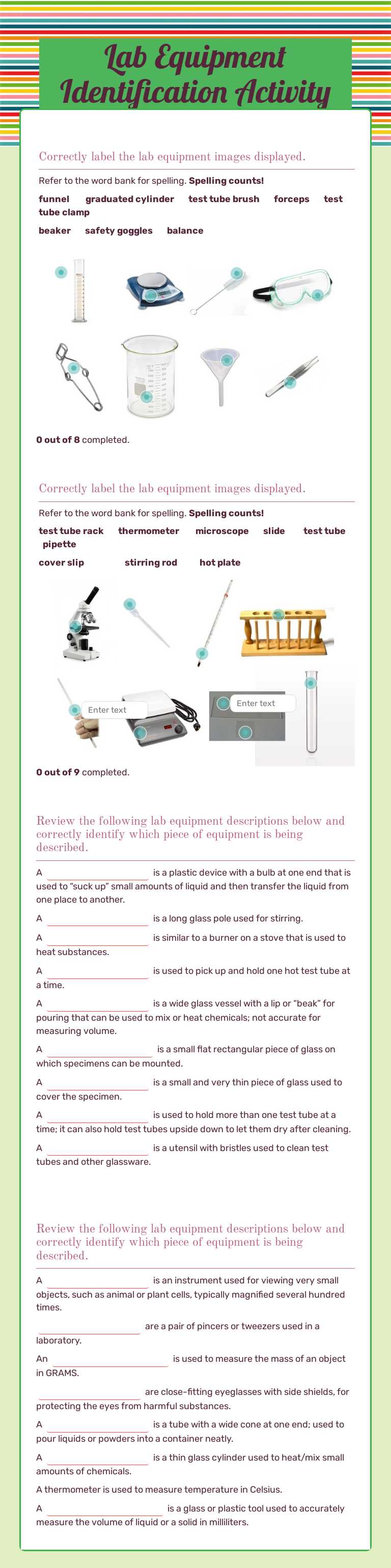 Lab Equipment Identification Activity worksheet preview image