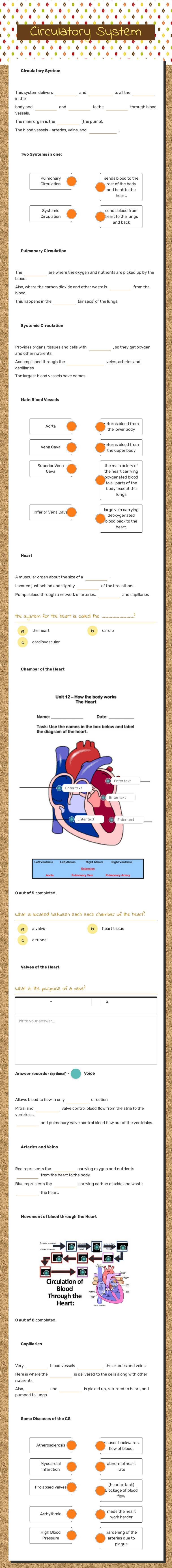 Circulatory System worksheet preview image
