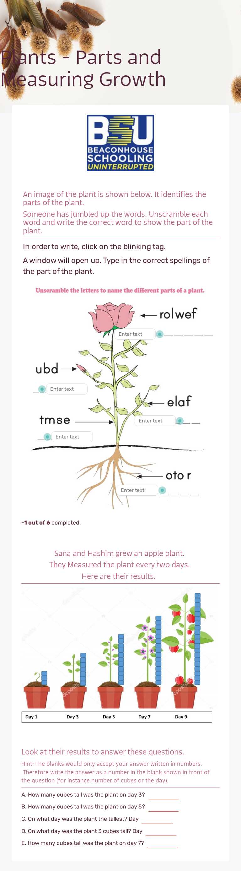 Plants - Parts and Measuring Growth worksheet preview image