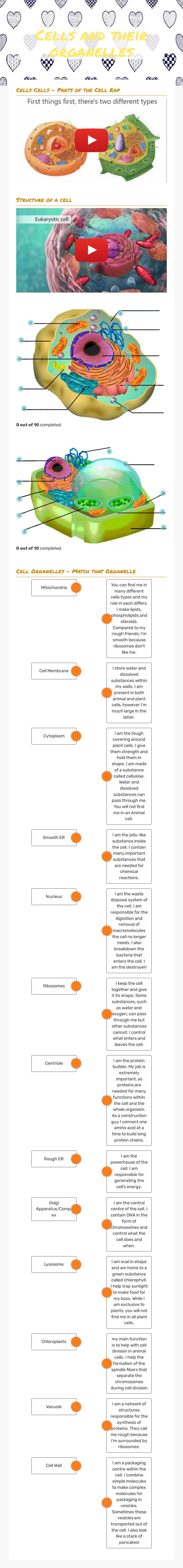 Cells and their organelles Grade 8 worksheet preview