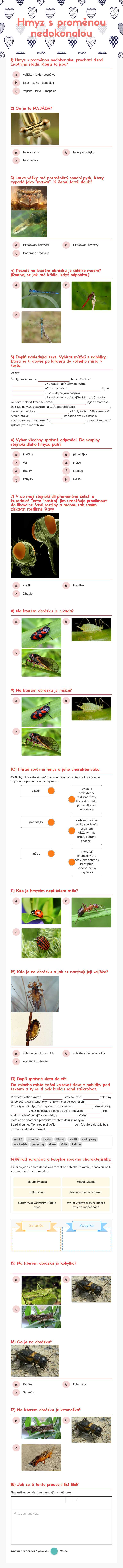 Hmyz
s proměnou
nedokonalou worksheet preview image