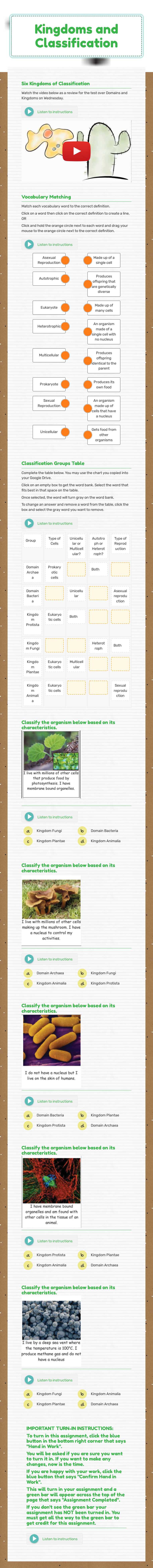 Kingdoms and Classification worksheet preview image