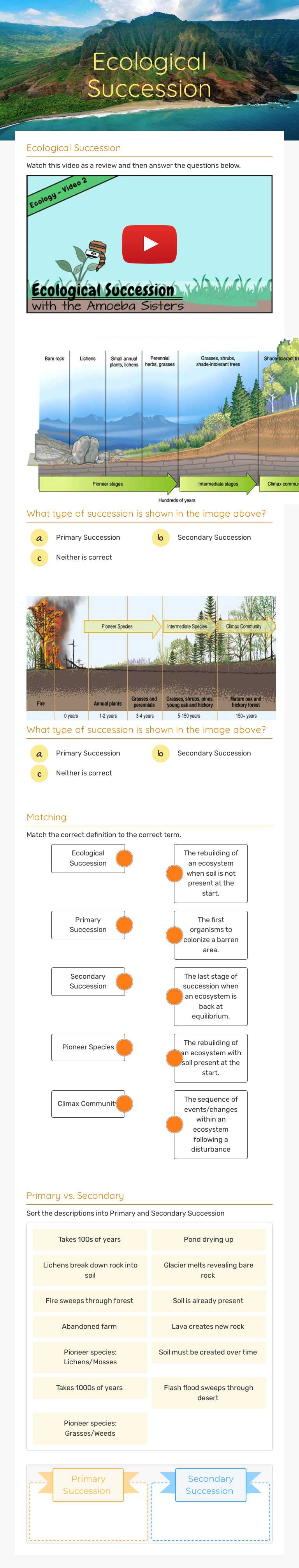 Ecological Succession worksheet preview image
