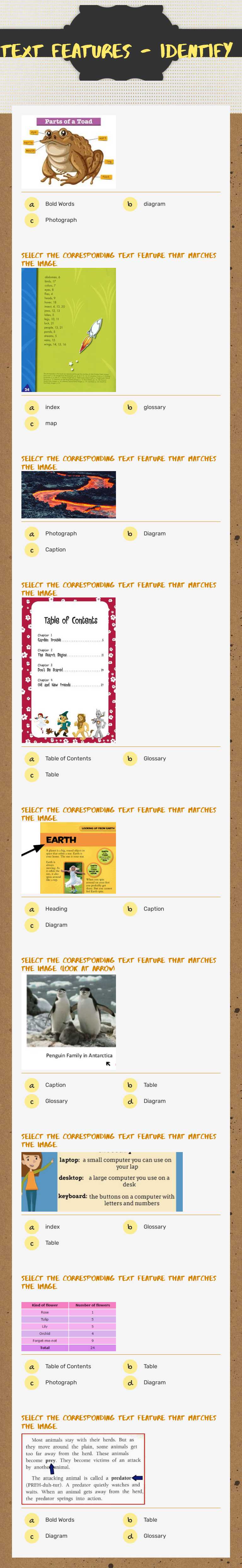 Text Features - identify worksheet preview image