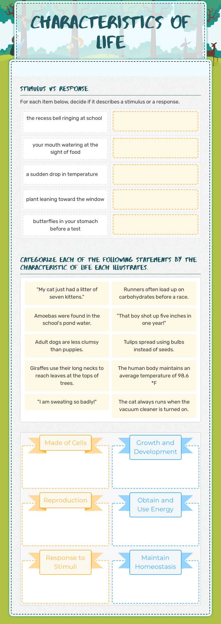 Characteristics of Life worksheet preview image