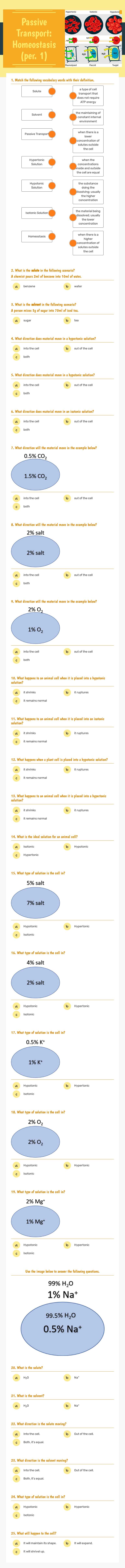 Passive Transport: Homeostasis Grade 10 worksheet preview