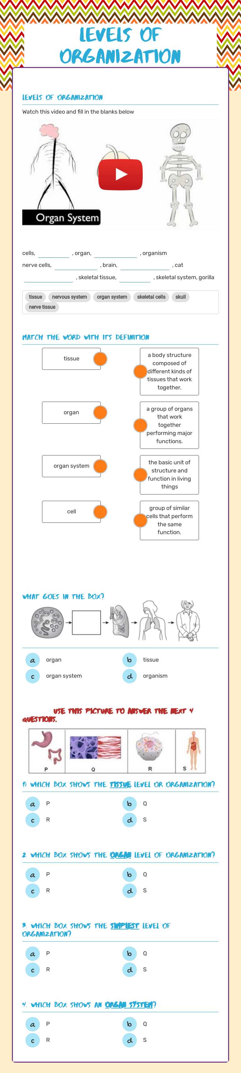 Levels of Organization Grade 6 worksheet preview