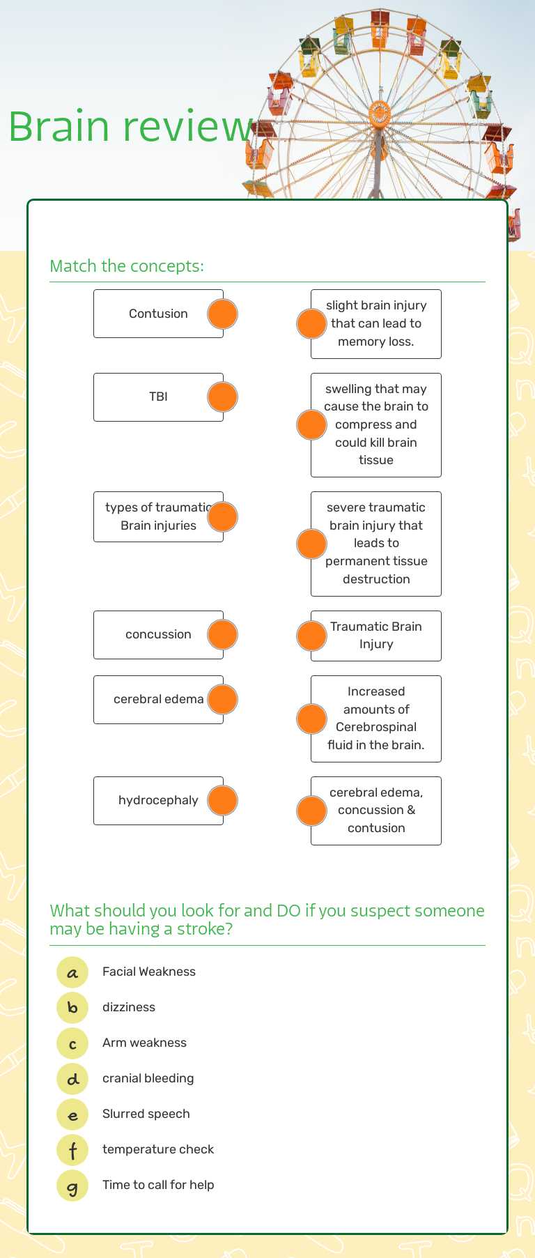Brain review worksheet preview image