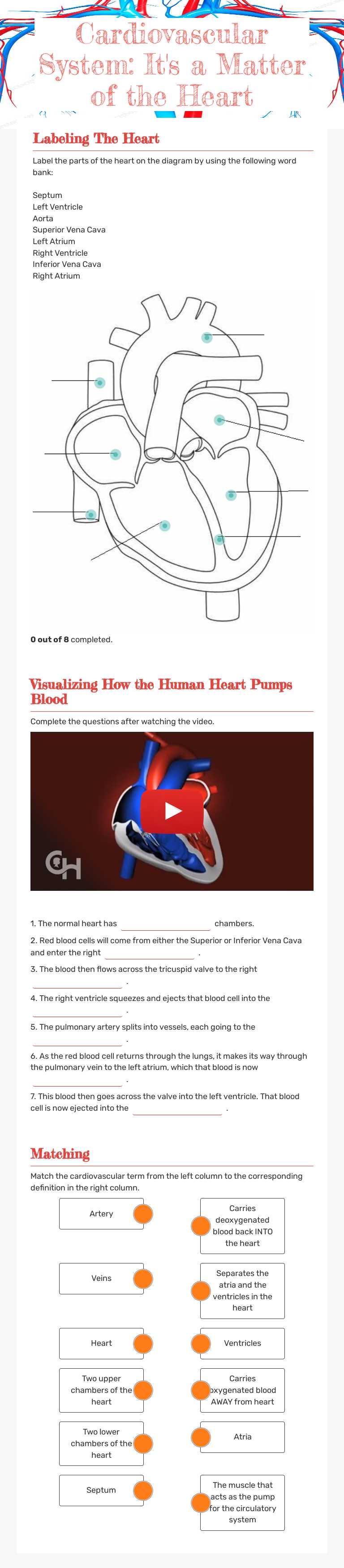 Cardiovascular System:
It's a Matter of the Heart worksheet preview image