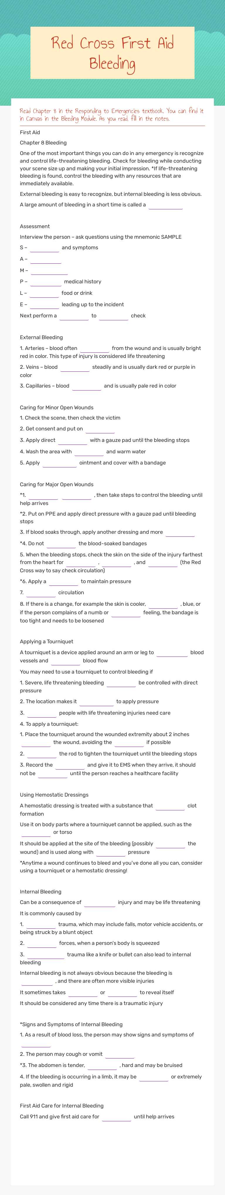 Red Cross First Aid Bleeding worksheet preview image