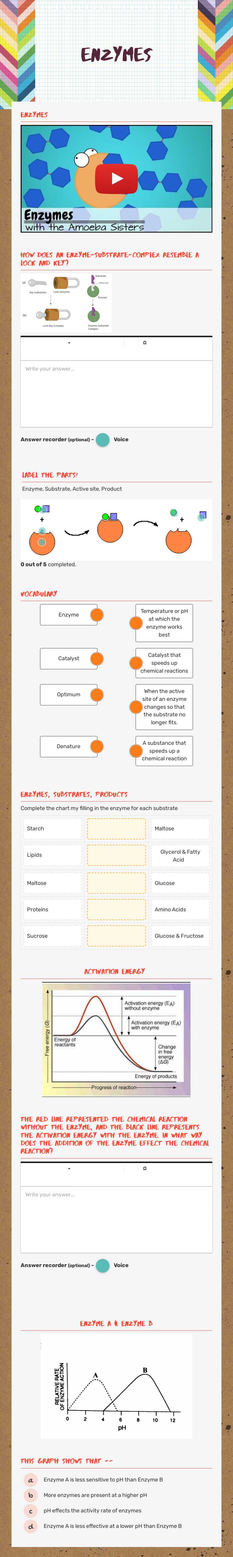 Enzymes worksheet preview image