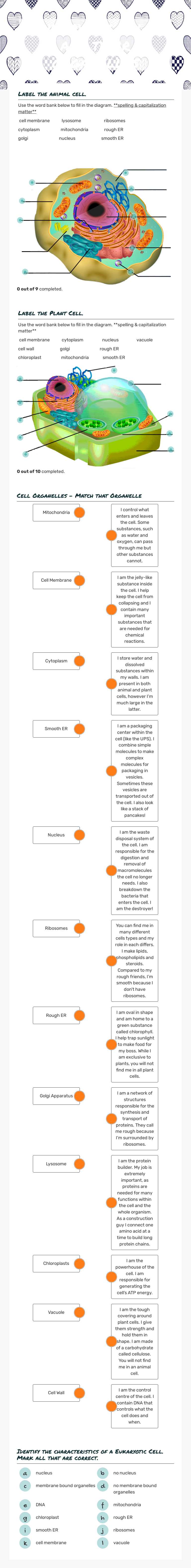 Eukaryotic Cells and their organelles worksheet preview image