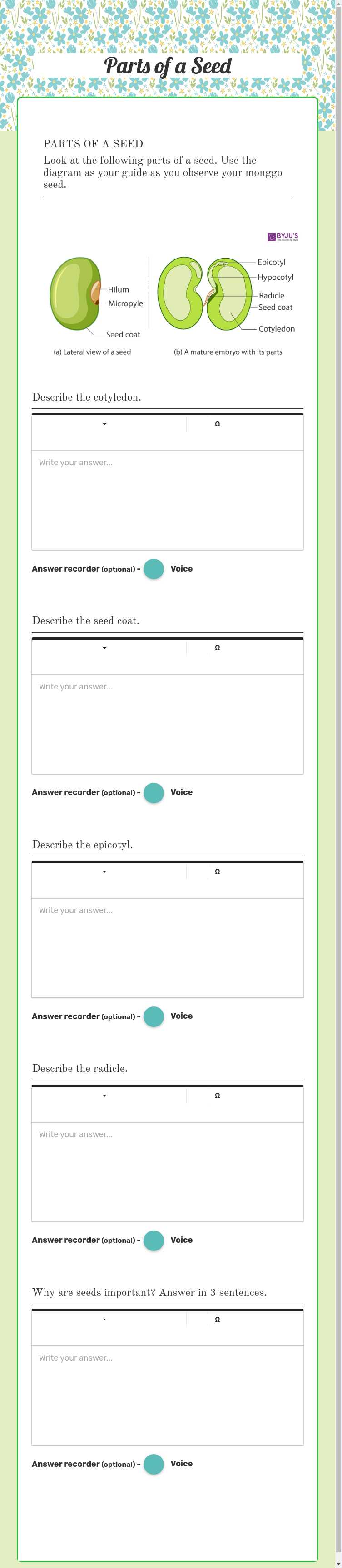 Parts of a Seed worksheet preview image