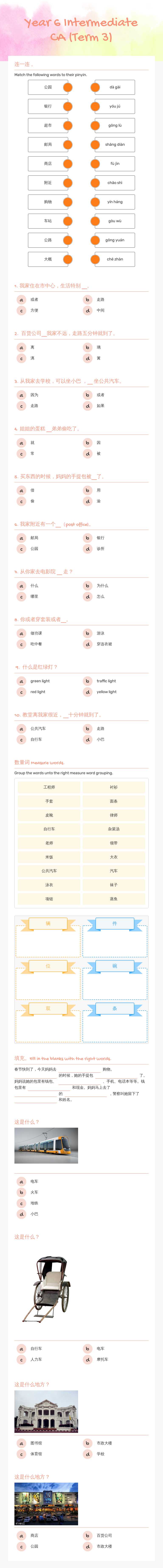 Year 6 Intermediate CA (Term 3) worksheet preview image