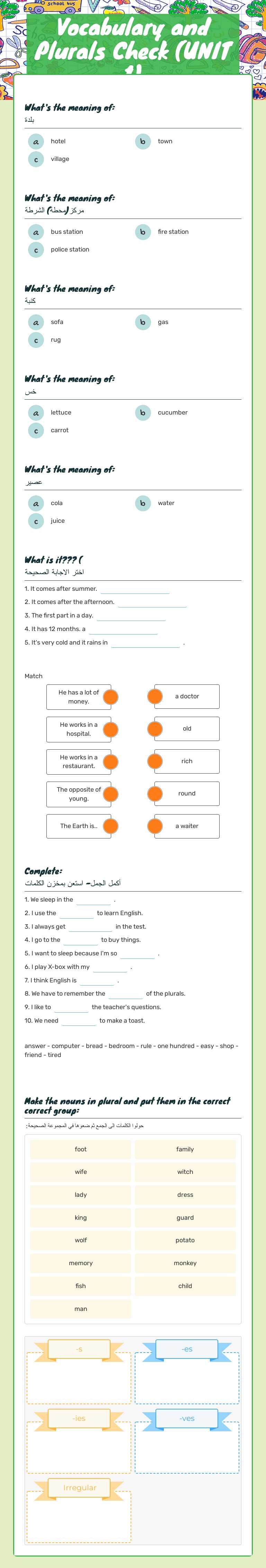 Vocabulary  and Plurals Check      
 (UNIT 1) worksheet preview image
