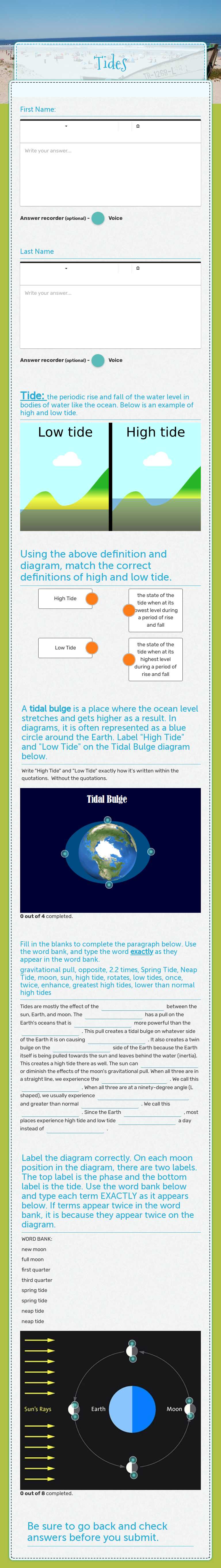 Tides worksheet preview image