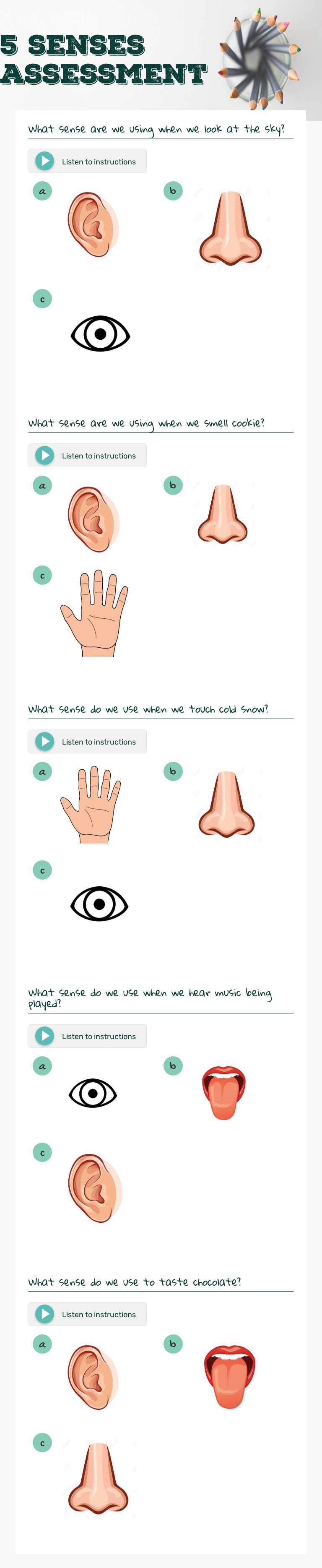 5 senses assessment worksheet preview image