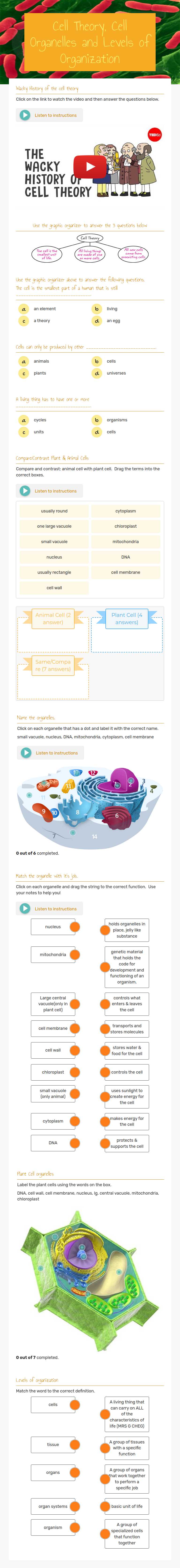Cell Theory, Cell Organelles and Levels of Organization worksheet preview image