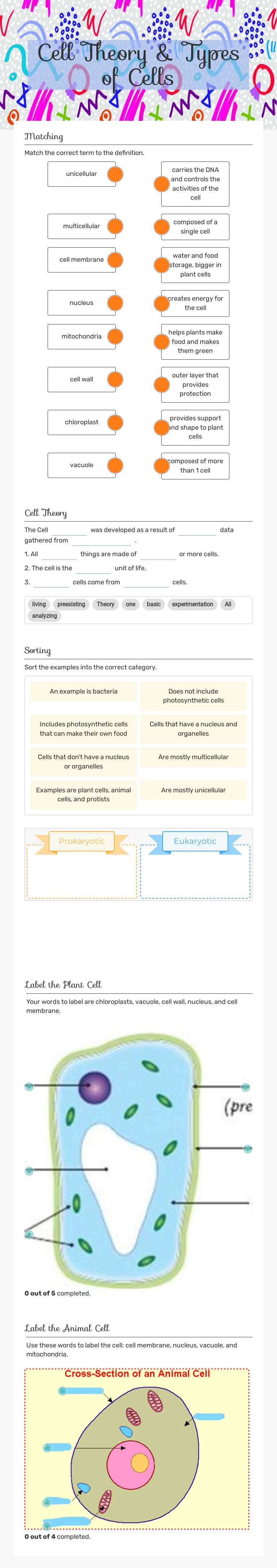 Cell Theory & Types of Cells worksheet preview image