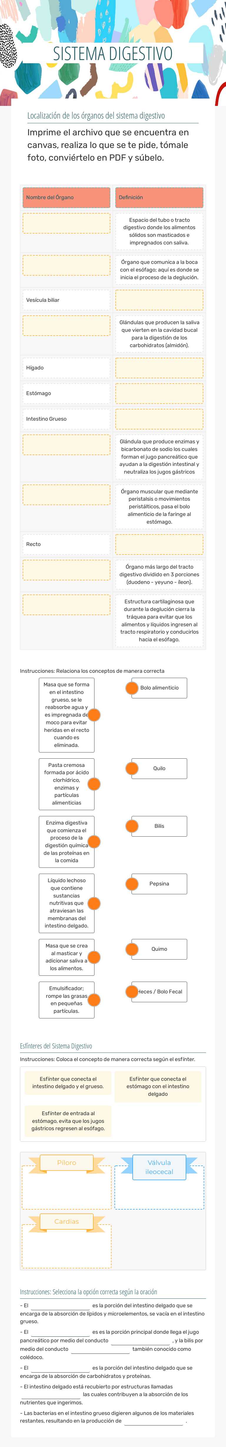 SISTEMA DIGESTIVO Grade 10 worksheet preview