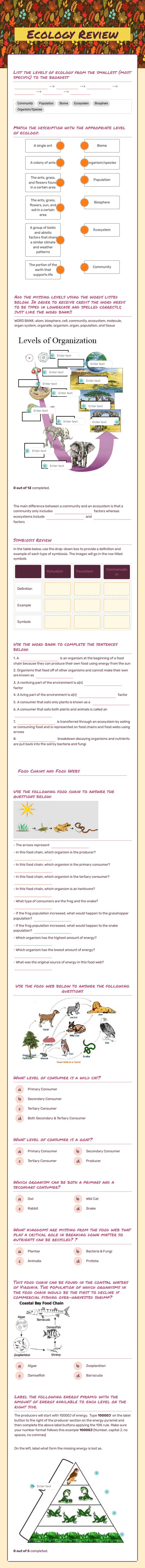 Ecology Review Grade 9 worksheet preview