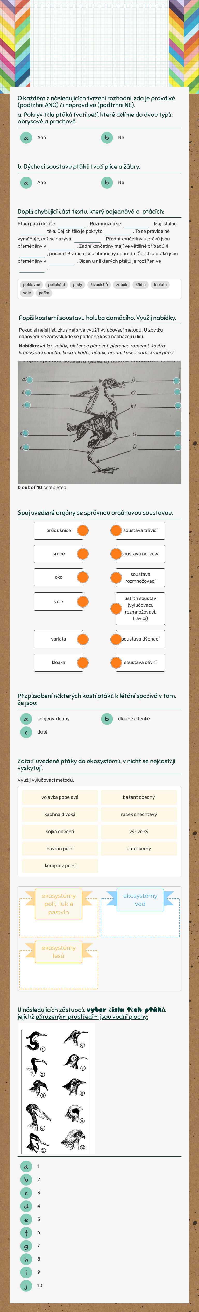 Ptáci worksheet preview image