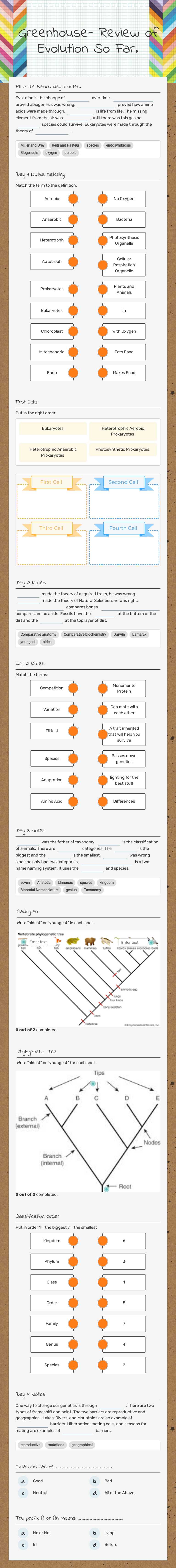Greenhouse- Review of Evolution So Far. worksheet preview image