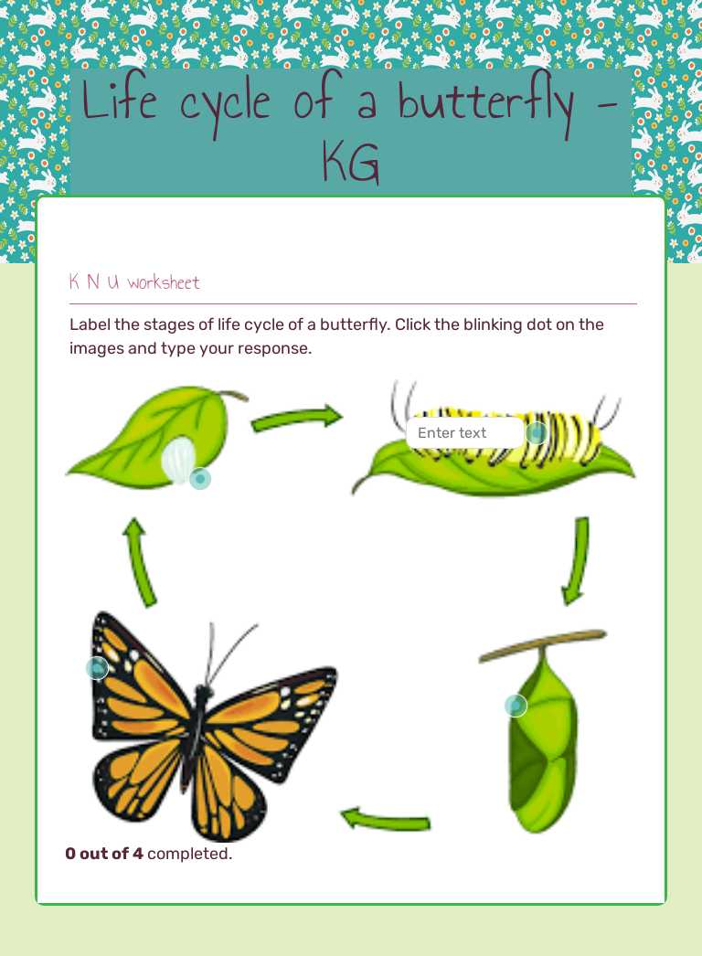 Life cycle of a butterfly - KG worksheet preview image