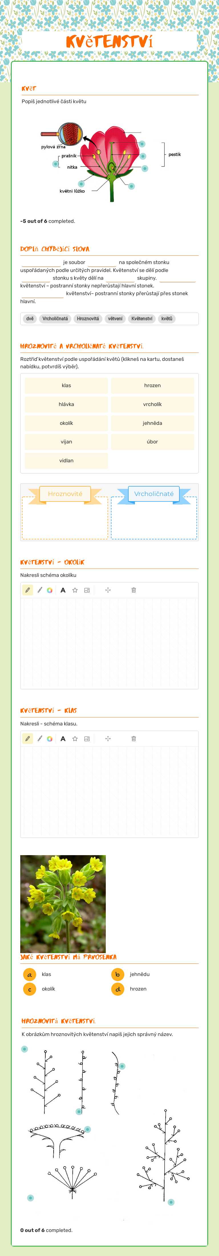 Květenství worksheet preview image